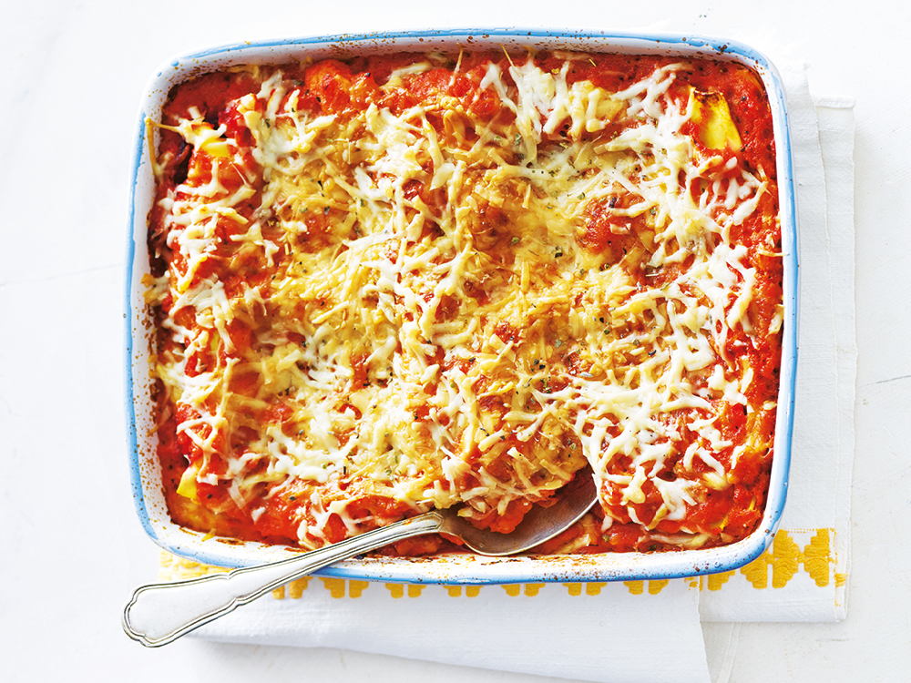 Tri lasagna outlet pan